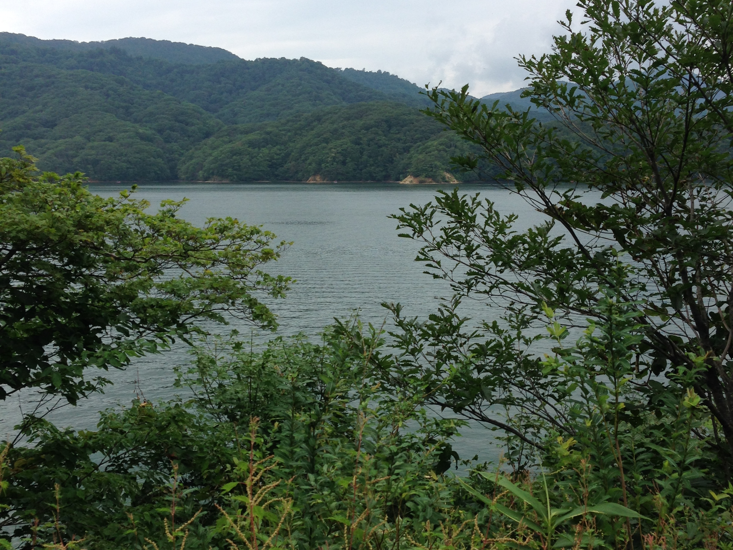 行事で訪れる湖